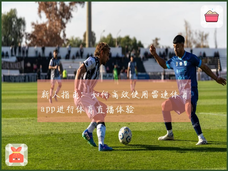 新人指南：如何高效使用雷速体育app进行体育直播体验